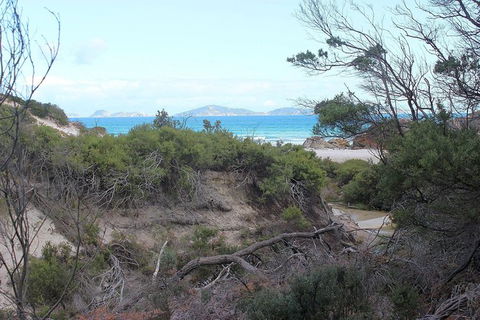 Wilsons Promontory Walking And Sightseeing Tour From Phillip Island - Accommodation Fremantle 14