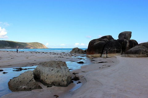 Wilsons Promontory Walking And Sightseeing Tour From Phillip Island - Accommodation Fremantle 10