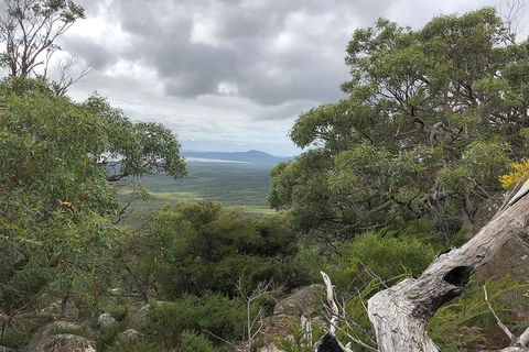 Wilsons Promontory Walking And Sightseeing Tour From Phillip Island - Accommodation Fremantle 13