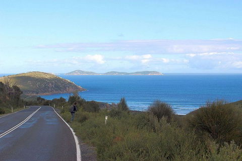 Wilsons Promontory Walking And Sightseeing Tour From Phillip Island - Accommodation Fremantle 2