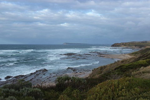 Wilsons Promontory Day Trip From Phillip Island - Accommodation Fremantle 1