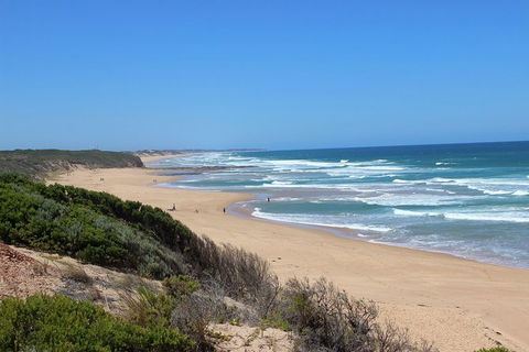 Day Tour Of Phillip Island & Surrounding Region - Accommodation Fremantle 1