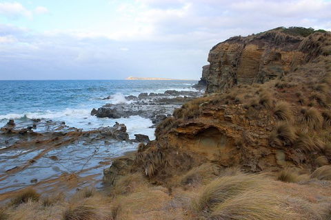 Day Tour Of Phillip Island & Surrounding Region - Accommodation Fremantle 11