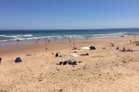 Day Tour Of Phillip Island & Surrounding Region - Accommodation Fremantle 7