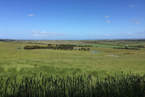 Day Tour Of Phillip Island & Surrounding Region - Accommodation Fremantle 4