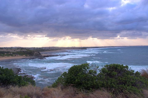 Day Tour Of Phillip Island & Surrounding Region - Accommodation Fremantle 12