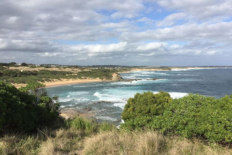 Day Tour Of Phillip Island & Surrounding Region - Accommodation Fremantle 10