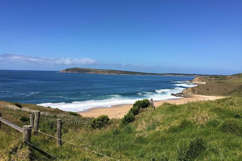 Day Tour Of Phillip Island & Surrounding Region - Accommodation Fremantle 5