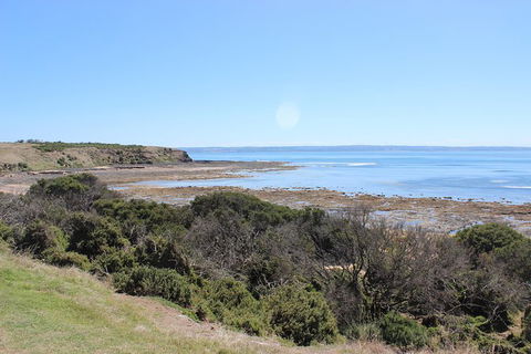 Day Tour Of Phillip Island & Surrounding Region - Accommodation Fremantle 2
