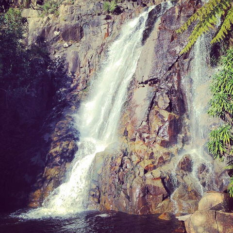 Melbourne Snow Trip To Lake Mountain Resort With Chocolates And Waterfalls - Accommodation Fremantle 11