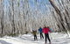 Melbourne Snow Trip To Lake Mountain Resort With Chocolates And Waterfalls - thumb 29