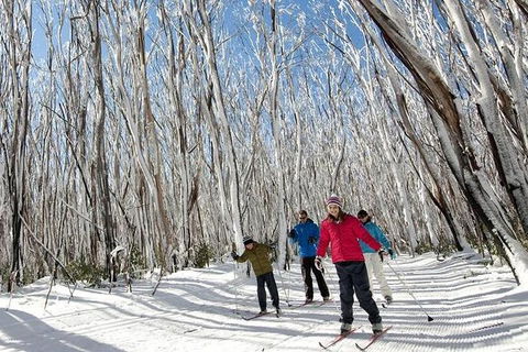 Melbourne Snow Trip To Lake Mountain Resort With Chocolates And Waterfalls - Accommodation Fremantle 29