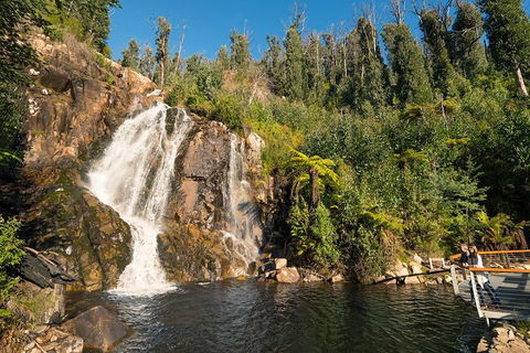 Melbourne Snow Trip To Lake Mountain Resort With Chocolates And Waterfalls - Accommodation Fremantle 26