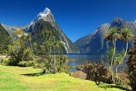 Aroha Tangata Australia And New Zealand 20 Day - Accommodation Fremantle 1