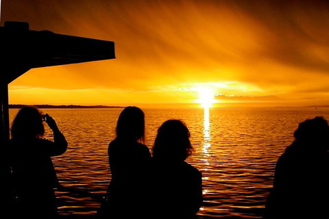 Phillip Island Twilight Cruise - Accommodation Fremantle 1