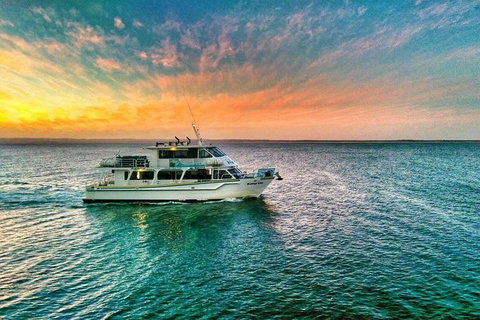 Phillip Island Twilight Cruise - Accommodation Fremantle 3