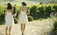 Yarra Valley Local Produce And Wine Tasting Tour - thumb 1