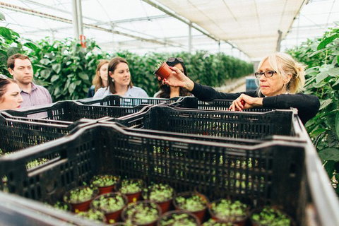 Yarra Valley Local Produce And Wine Tasting Tour - Accommodation Fremantle 9