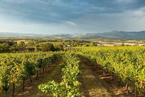 Yarra Valley Local Produce And Wine Tasting Tour - Accommodation Fremantle 4