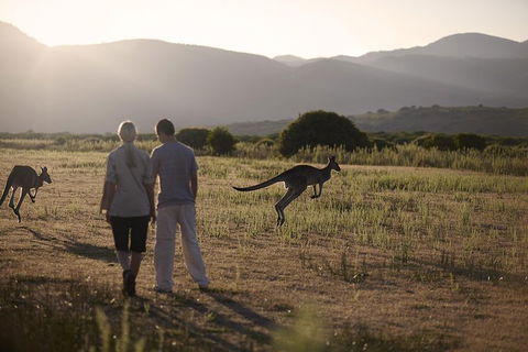 Overnight Daylesford And Macedon Ranges Gourmet Food Trail Tour From Melbourne - Accommodation Fremantle 4