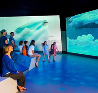 Phillip Island Antarctic Journey Entry ticket - Accommodation Fremantle