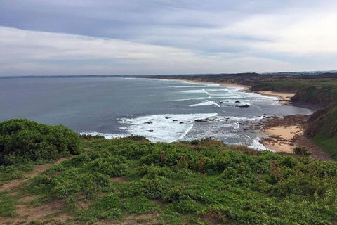 Half Day Phillip Island Woolamai Walking Tour - Accommodation Fremantle 0