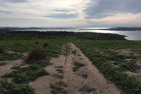 Half Day Phillip Island Woolamai Walking Tour - Accommodation Fremantle 8
