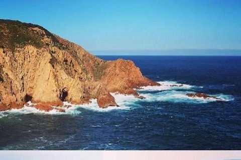 Half Day Phillip Island Woolamai Walking Tour - Accommodation Fremantle 6