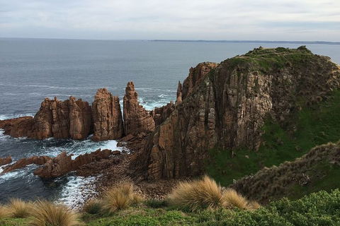 Half Day Phillip Island Woolamai Walking Tour - Accommodation Fremantle 16