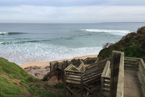 Half Day Phillip Island Woolamai Walking Tour - Accommodation Fremantle 5