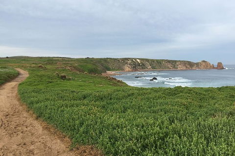 Half Day Phillip Island Woolamai Walking Tour - Accommodation Fremantle 9