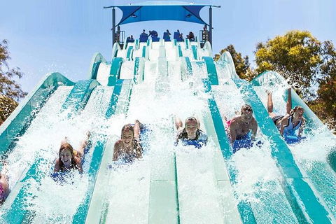 Adventure Park Geelong: General Admission Ticket - Accommodation Fremantle 1