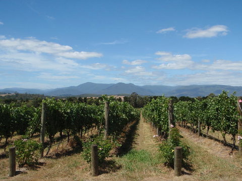 The Ultimate Yarra Valley Food And Wine Small Group Tour (Max 6 Guests) - Accommodation Fremantle 7