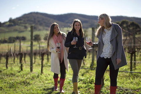 The Ultimate Yarra Valley Food And Wine Small Group Tour (Max 6 Guests) - Accommodation Fremantle 16