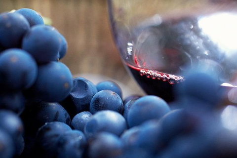The Ultimate Yarra Valley Food And Wine Small Group Tour (Max 6 Guests) - Accommodation Fremantle 17