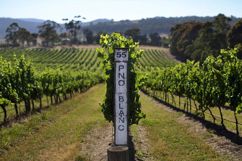 The Ultimate Yarra Valley Food And Wine Small Group Tour (Max 6 Guests) - Accommodation Fremantle 27
