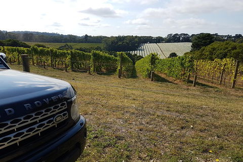 Mornington Peninsula Tour - Accommodation Fremantle 1