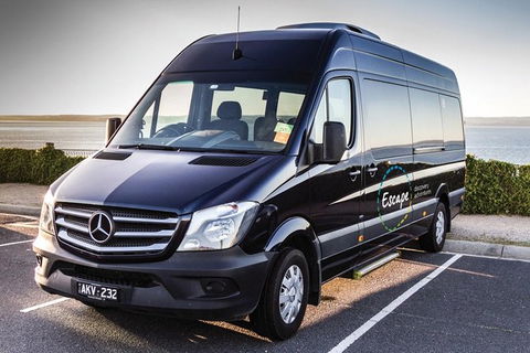 Melbourne's Premier Small-group Great Ocean Road & 12 Apostles Day Tour. - Accommodation Fremantle 1