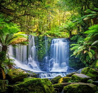 Day Tour in Mt. Field Mt. Wellington Bonorong Wildlife Sanctuary and Richmond - Accommodation Fremantle