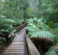 Small-group DayTour from Hobart Hastings Caves Huon Valley and Tahune AirWalk - Accommodation Fremantle