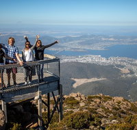 Mt Field National Park Active Day-Trip Including Bonorong and Mt Wellington - Accommodation Fremantle