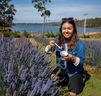 Port Arthur and Lavender Farm Active Day Tour - Accommodation Fremantle