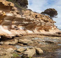Maria Island premium private photo-oriented day tour from Hobart - Accommodation Fremantle