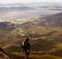 Mt Wellington Half Day Guided Summit Hike - Accommodation Fremantle