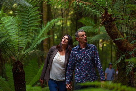 West Coast Wilderness Railway: River And Rainforest From Strahan - Accommodation Fremantle 1