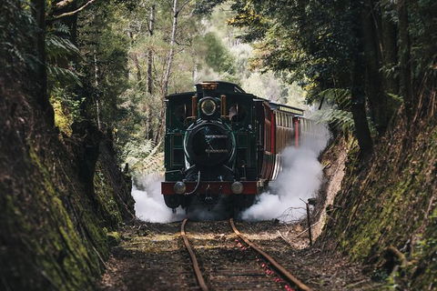 West Coast Wilderness Railway: River And Rainforest From Strahan - Accommodation Fremantle 0