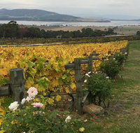 Mona and Wine Experience Tour - Accommodation Fremantle