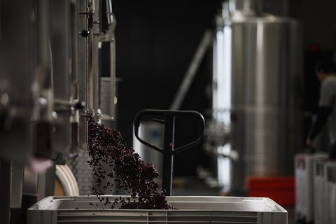 Private 90-minute Moorilla Estate Winery Tour With Tastings And Free Wine Gift - Accommodation Fremantle 1