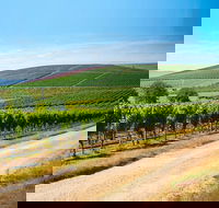 Full Day Tamar Valley Wine Tour - Accommodation Fremantle