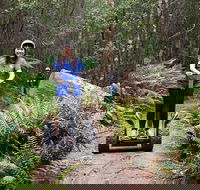 Hollybank Wilderness Adventures - Segway Tour - Accommodation Fremantle